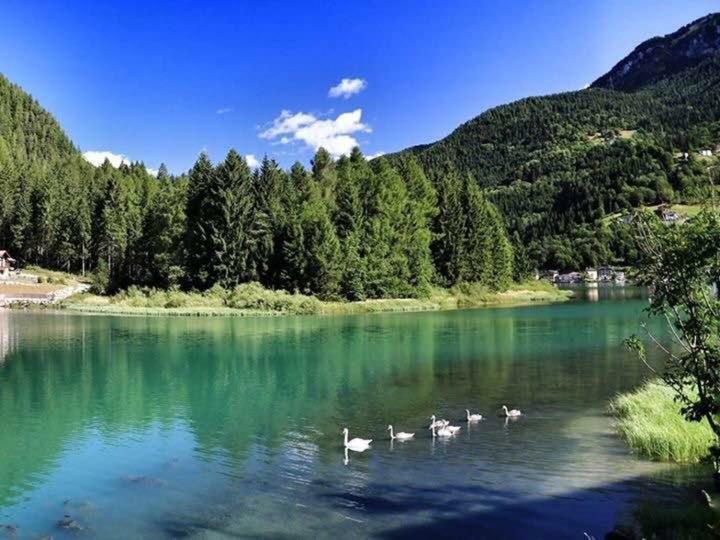 Appartamento Italia Alleghe Kültér fotó